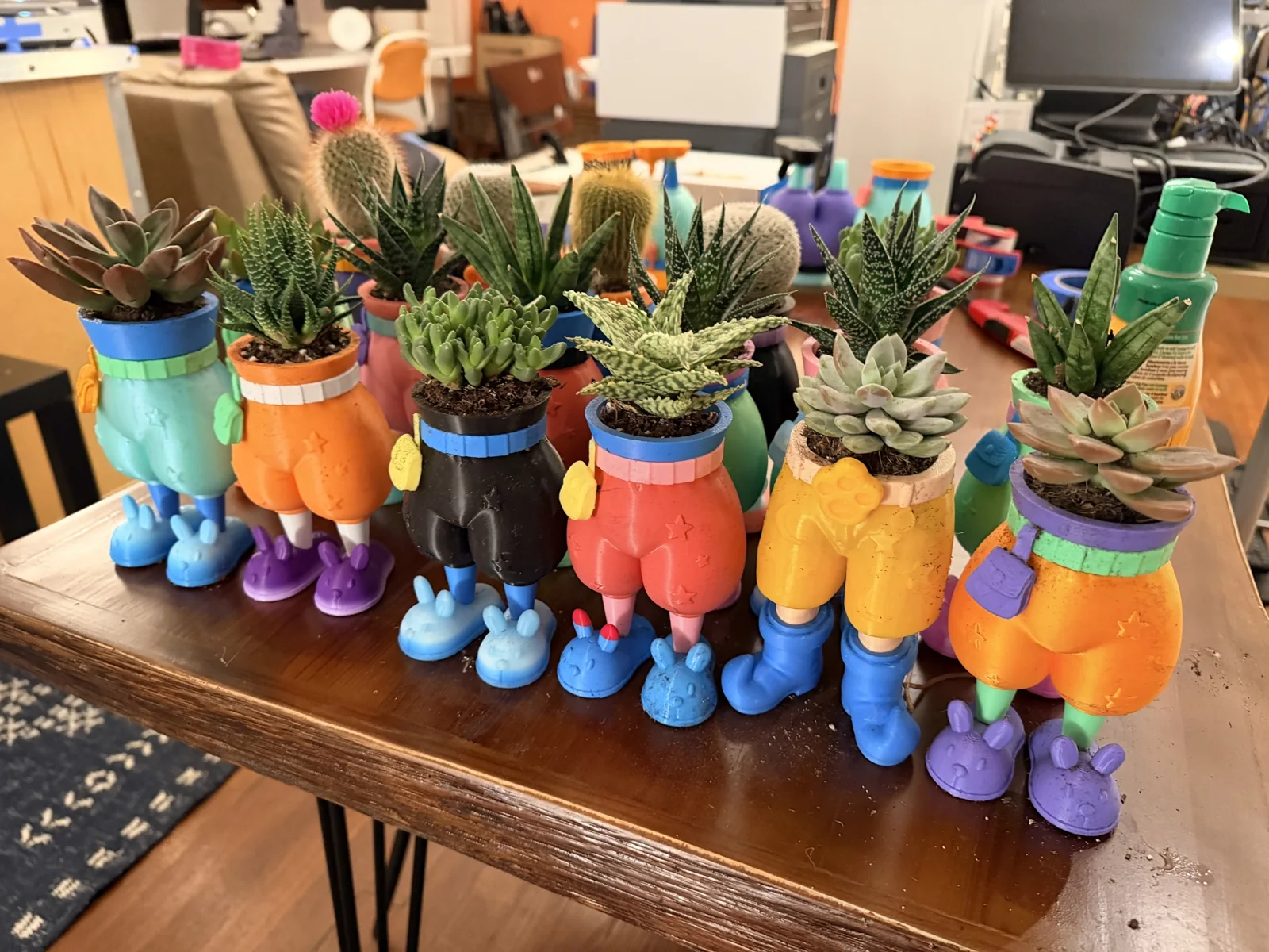 A real small batch of colorful pants and shorts planters filled with succulents on a worktable