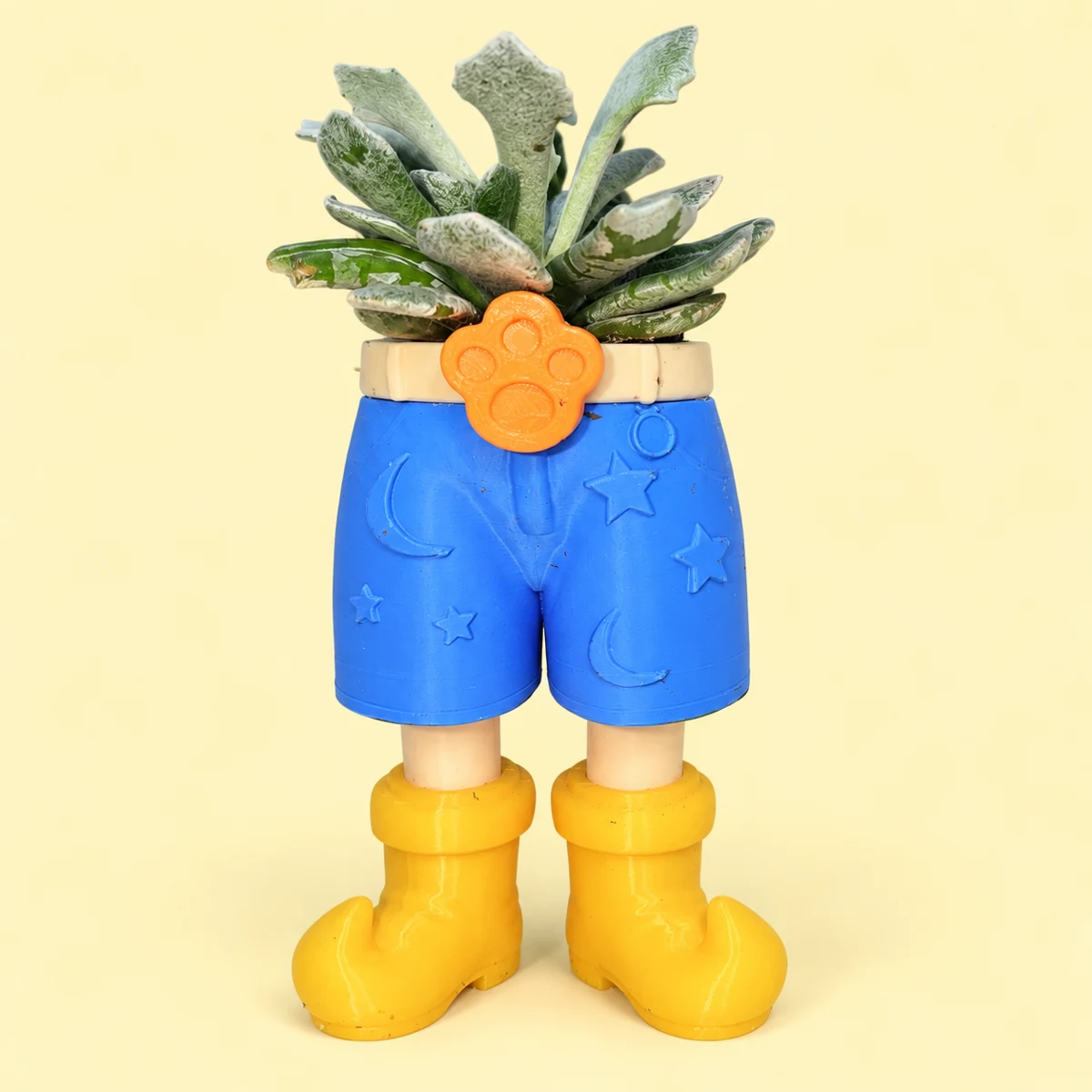 Blue shorts planter with stars and crescent moons, a cream belt, orange paw buckle, yellow boots and a succulent